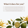 Ylang Ylang and Bergamot • Body Butter