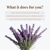 Lavender and Sandalwood • Body Butter